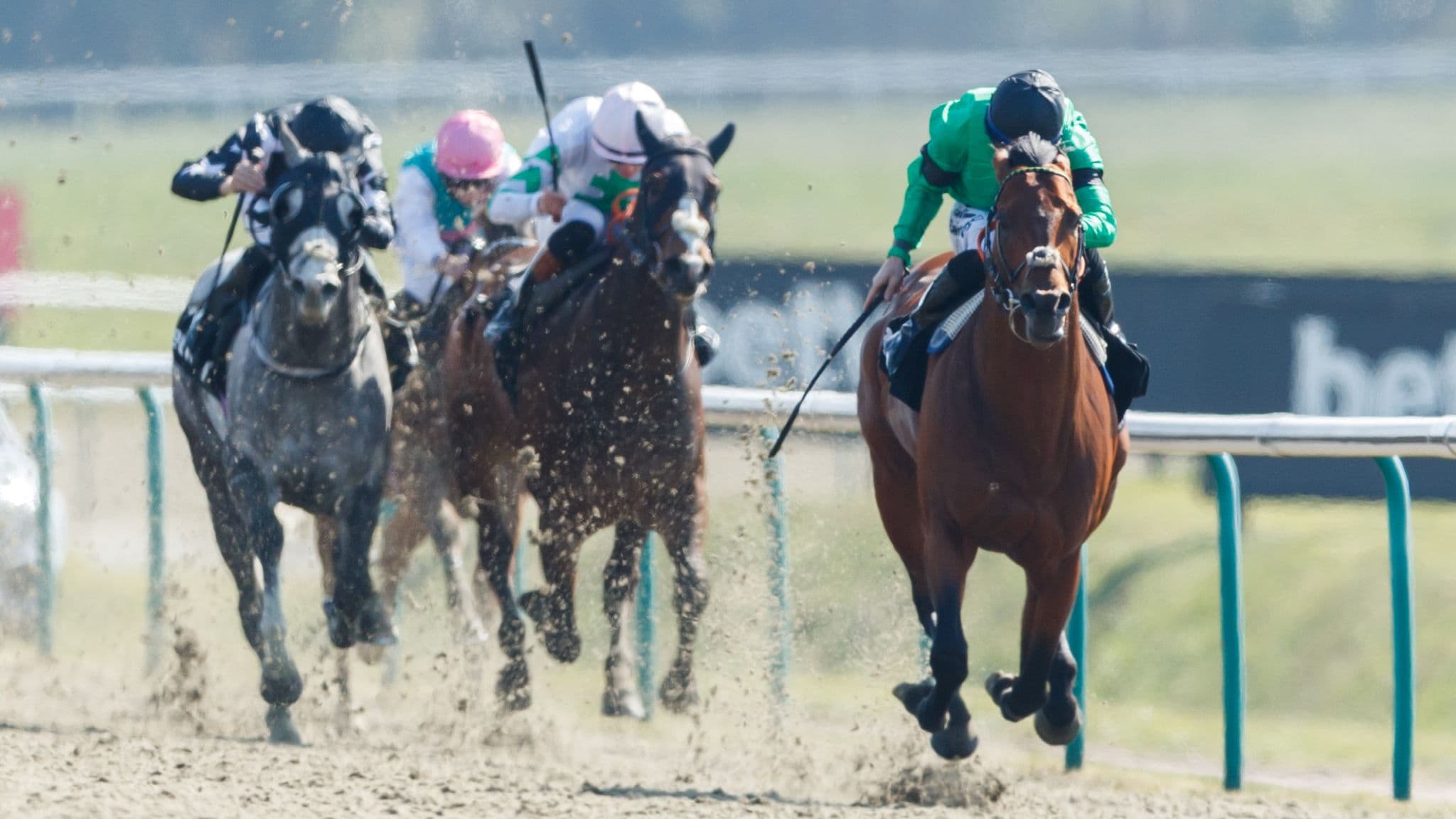 Lingfield Park hosts the Listed Kachy Stakes this weekend