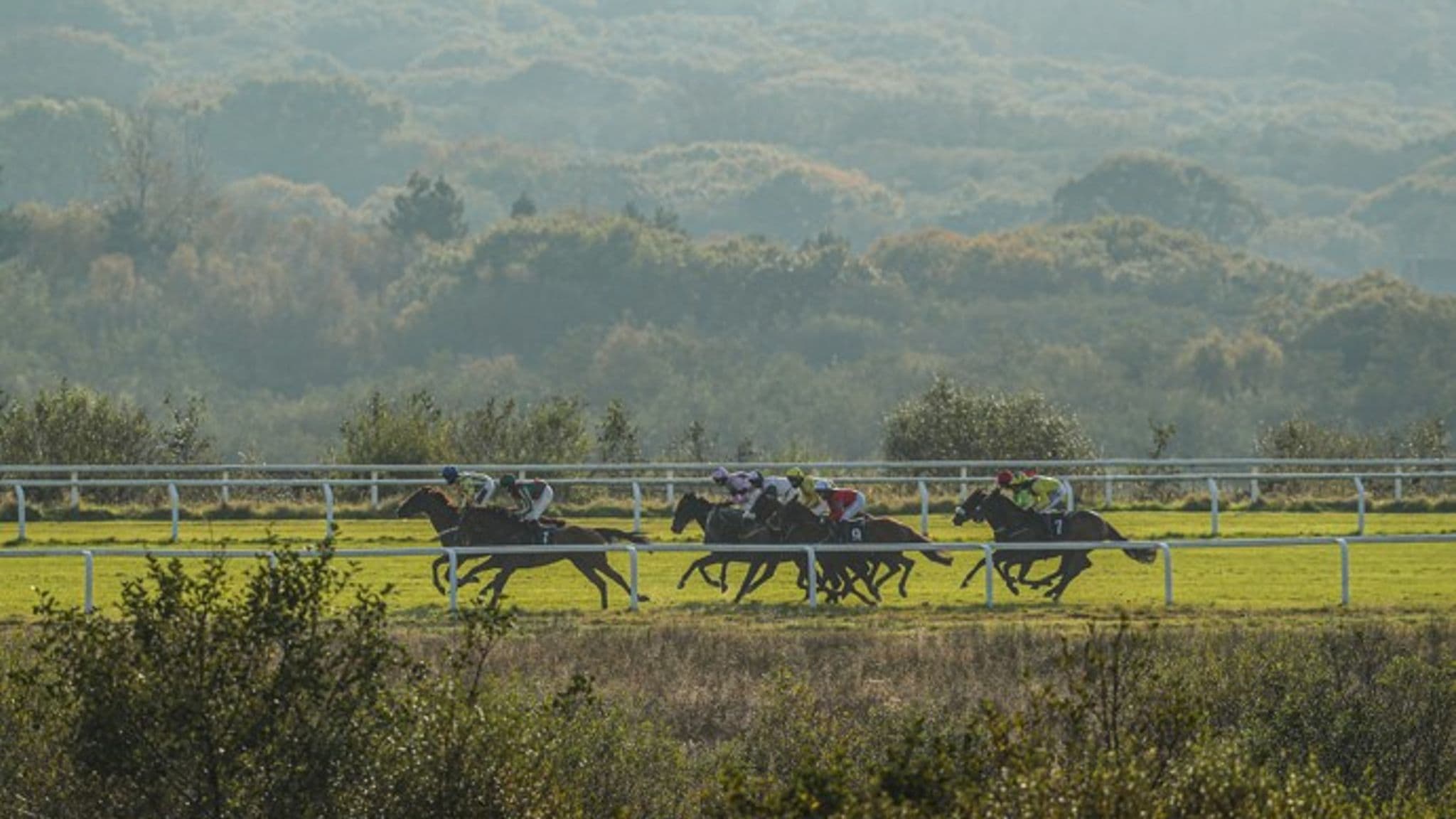 Ffos Las hosts today's live action