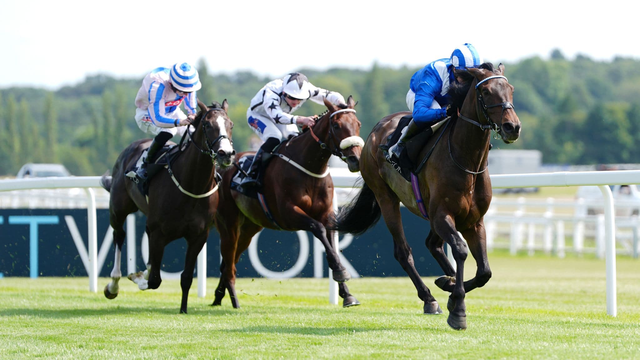 Al Aasy makes winning the Group 3 Geoffrey Freer stakes look easy