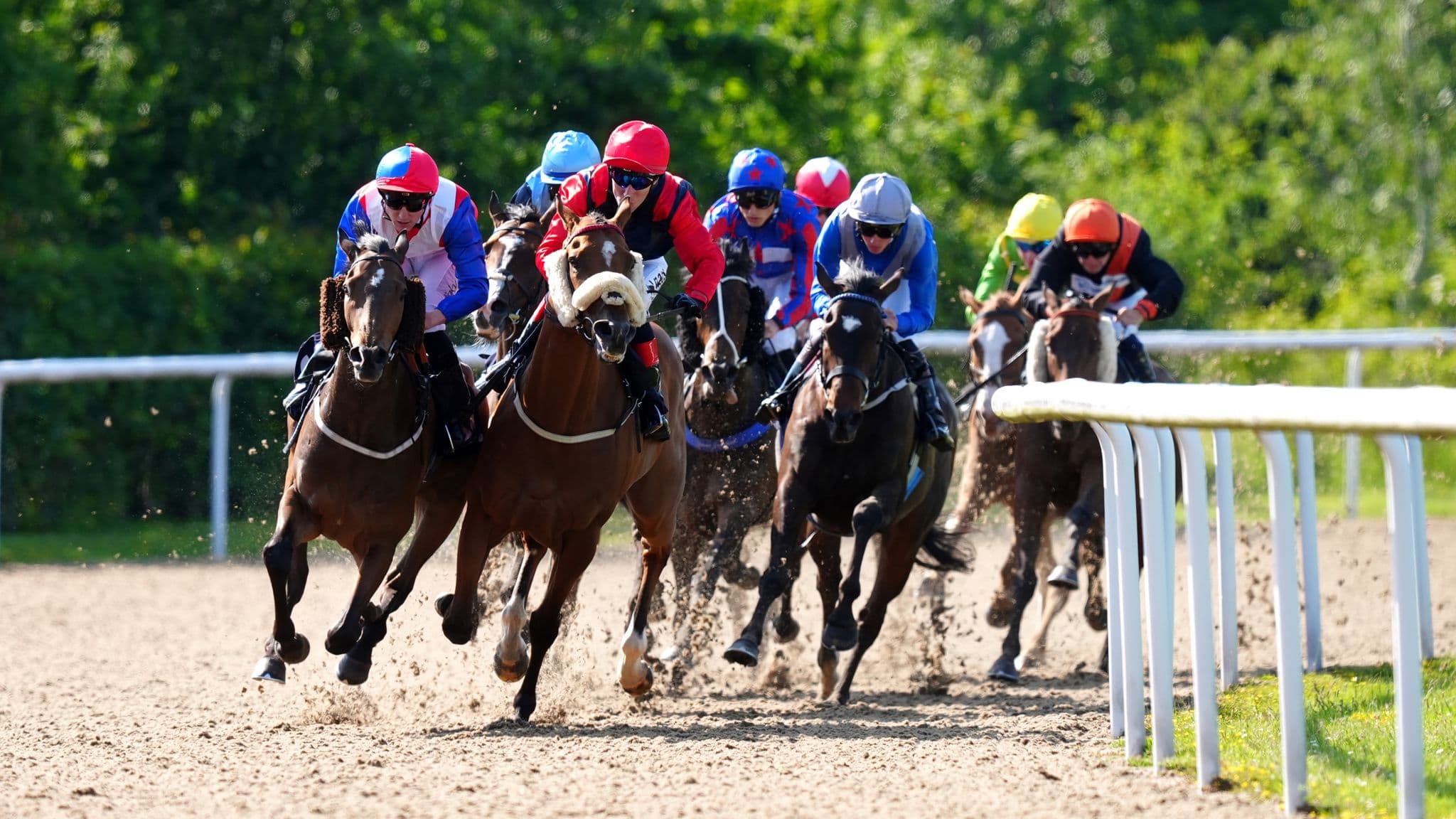 Wolverhampton plays host to live racing on Tuesday