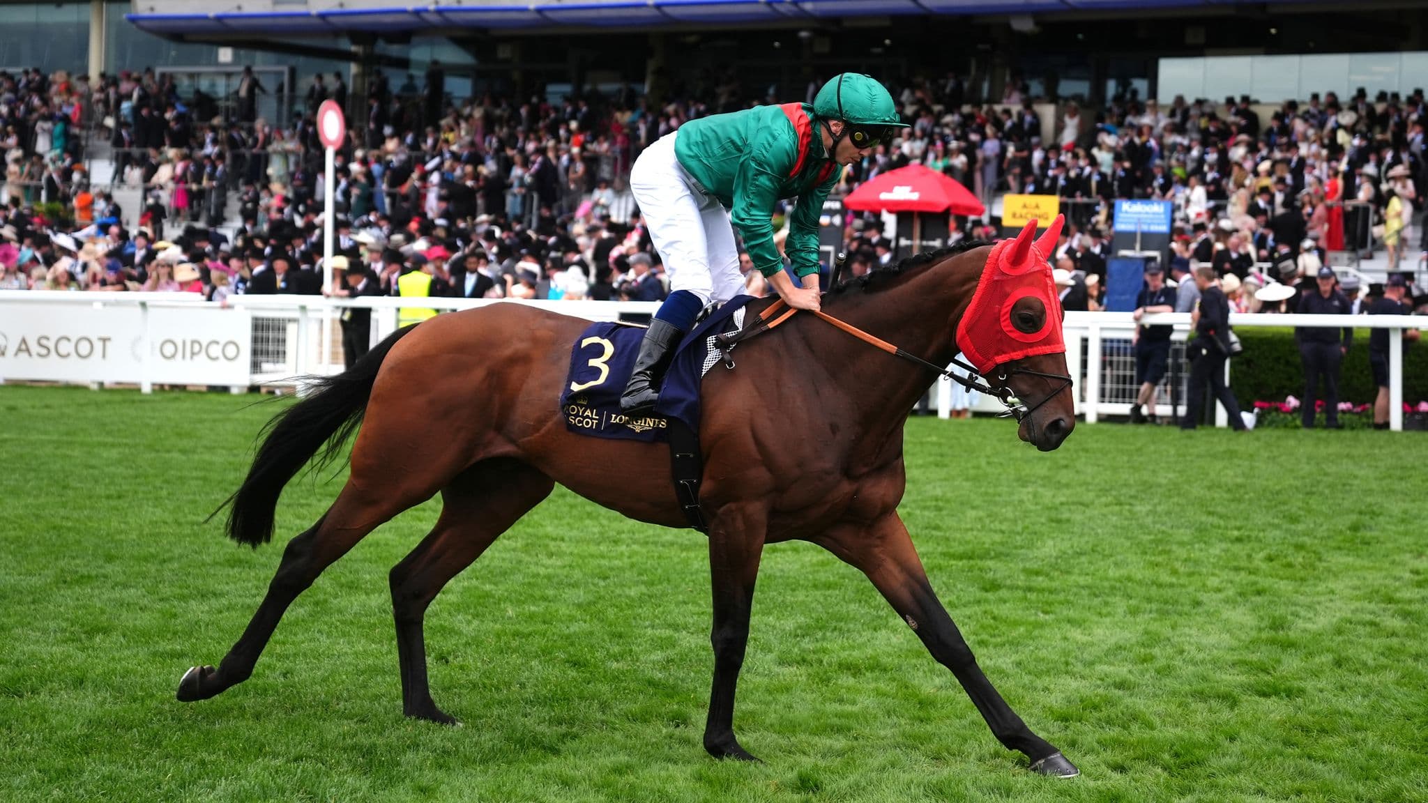 Daryz returns on Arc Trials Day