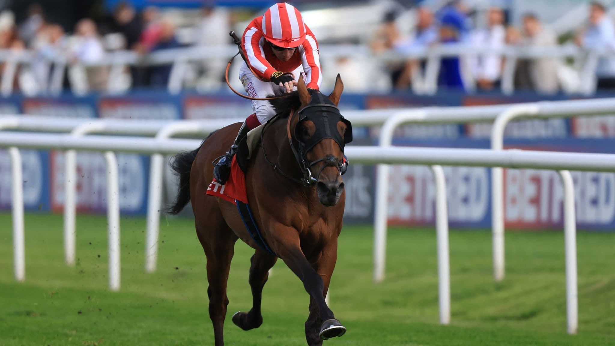Caballo De Mar won the Doncaster Cup under Oisín Murphy