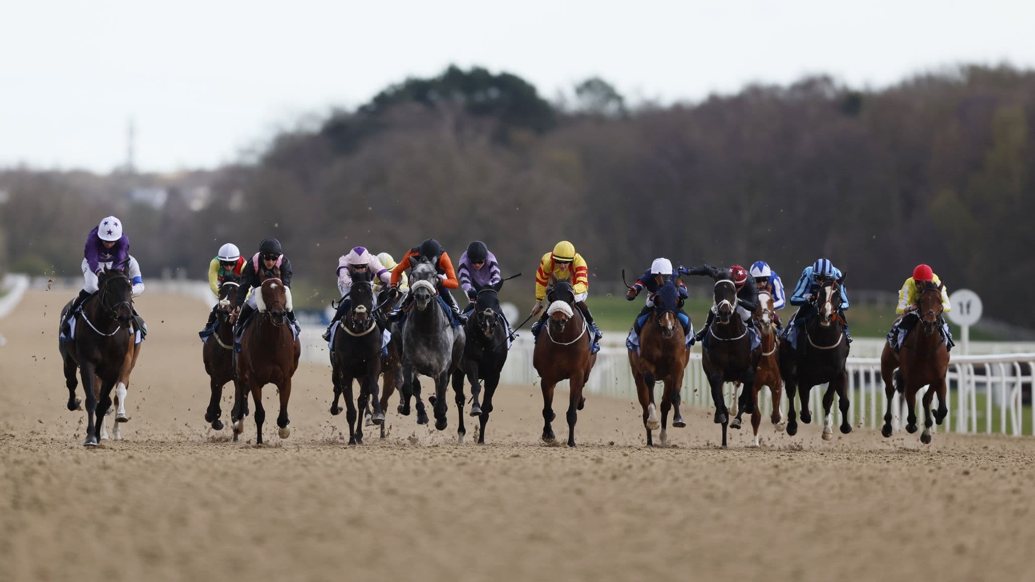 Newcastle hosts a busy all-weather card on Thursday