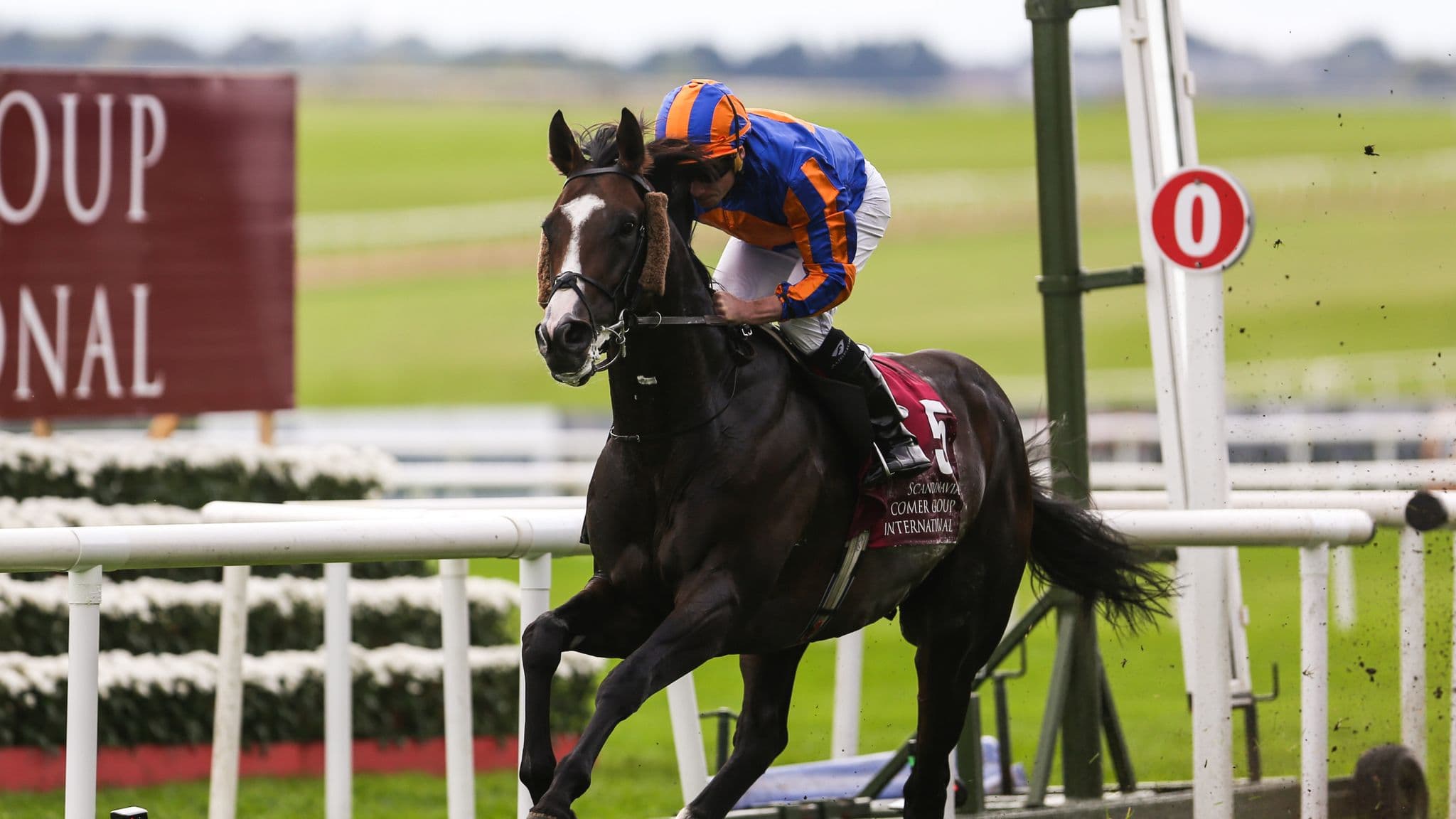 Scandinavia headlines the Prix du Cadran
