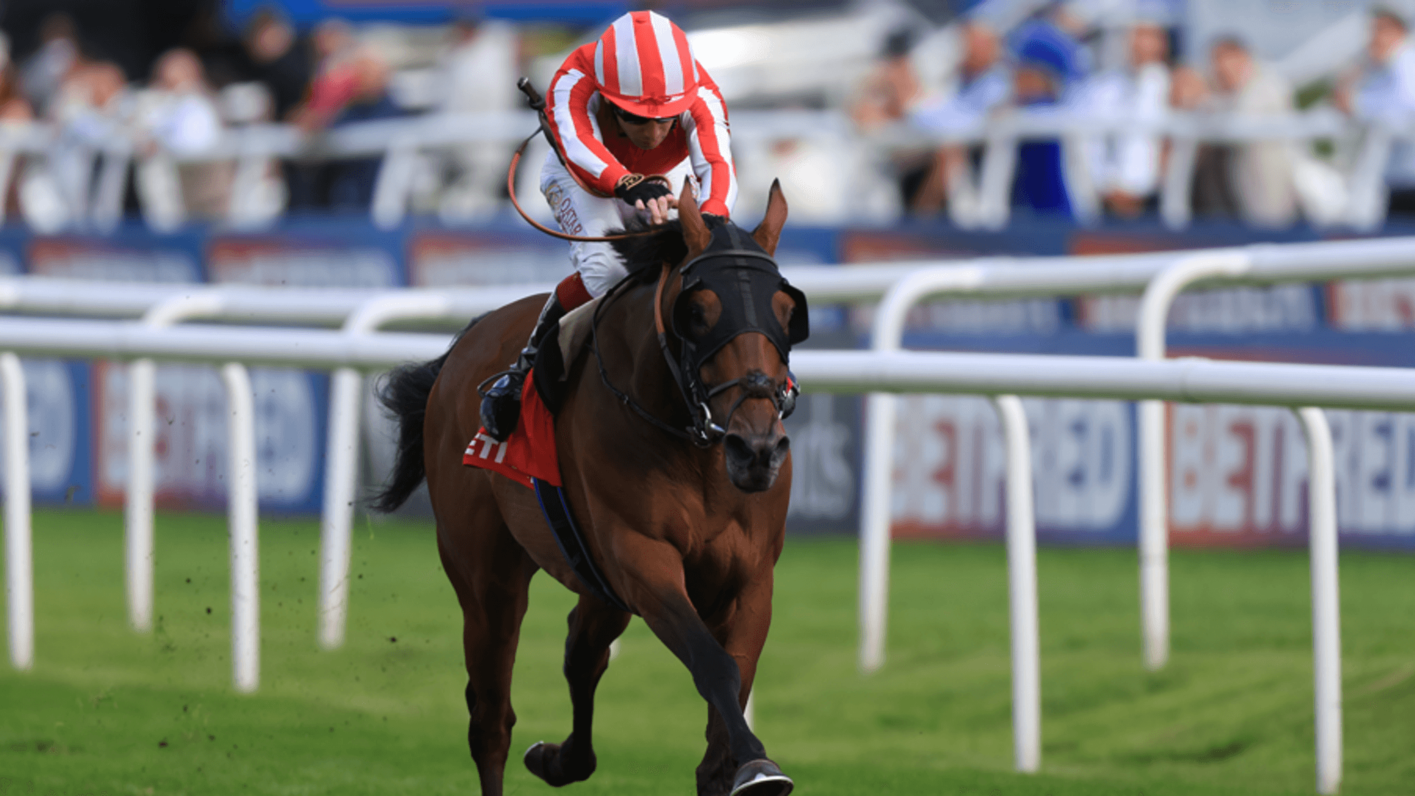 Caballo De Mar - back-to-back winner of the Prix du Cadran