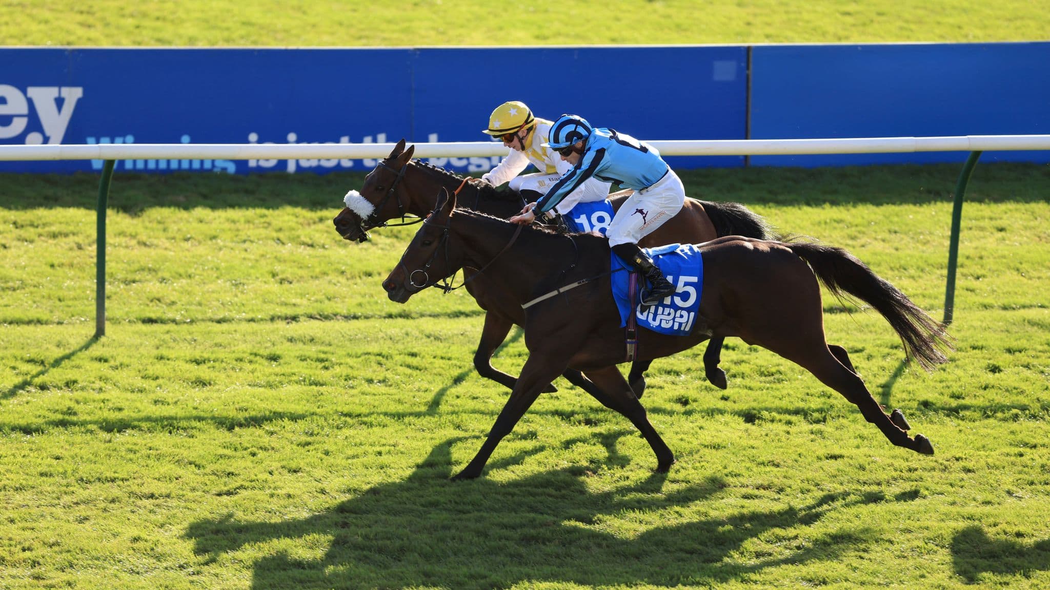 Alphonse Le Grande defeated Sea Lantern in the Cesarewitch
