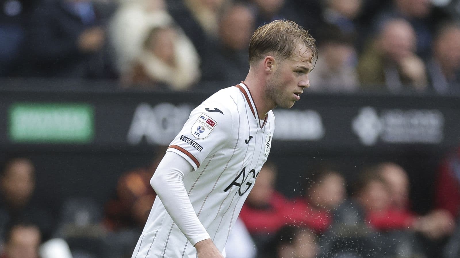 Swansea City 4-0 Blackburn Rovers: Swans back to winning ways in thumping victory